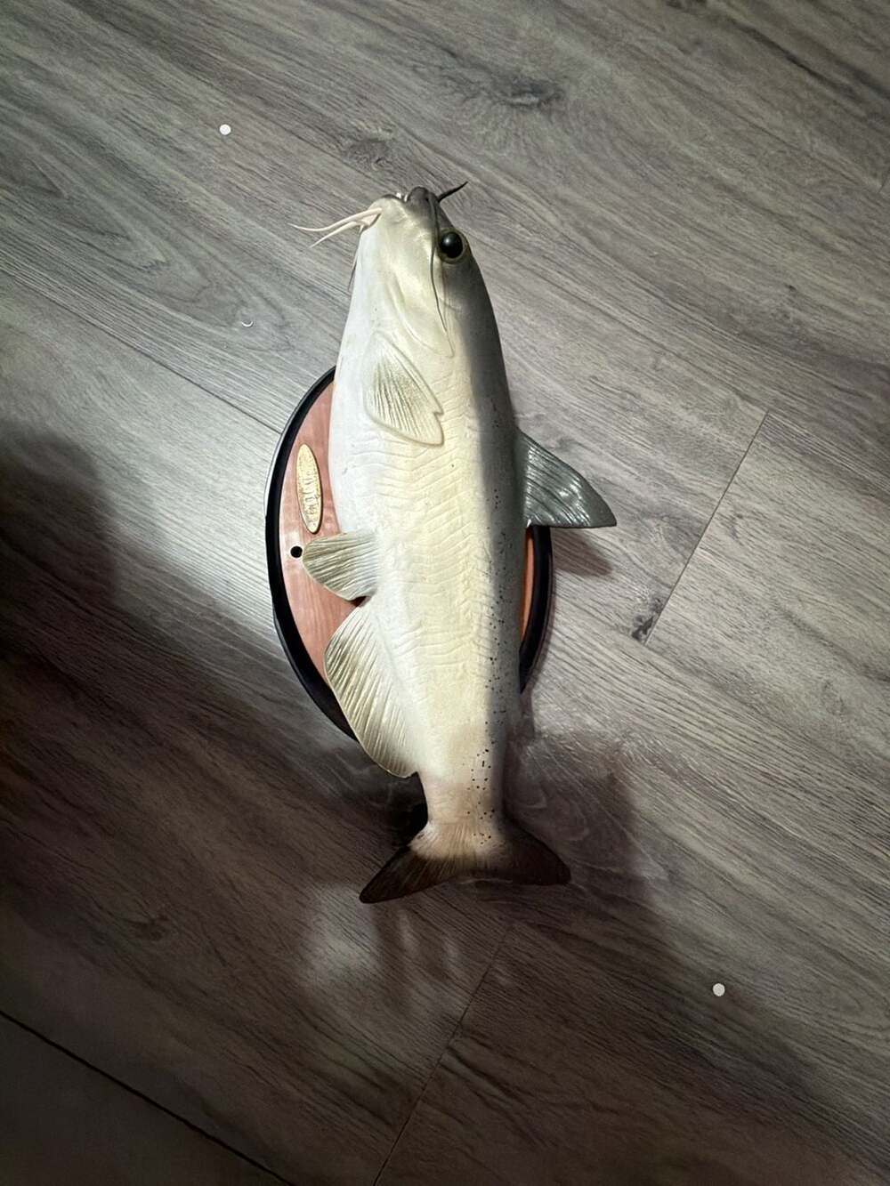 Gemmy Cool Catfish Animated Singing Fish Wall Mount Motion Toy